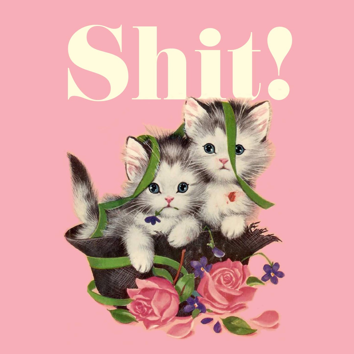 SHIT KITTIES