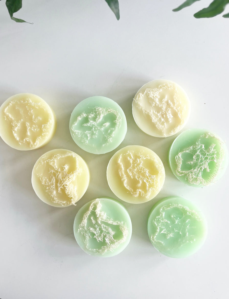 Bar Soap | Spring Loofah