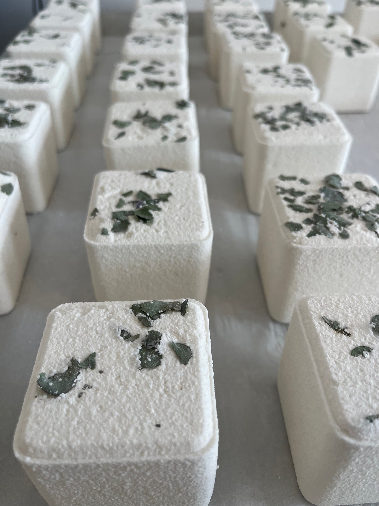 Bath Bomb | Eucalyptus