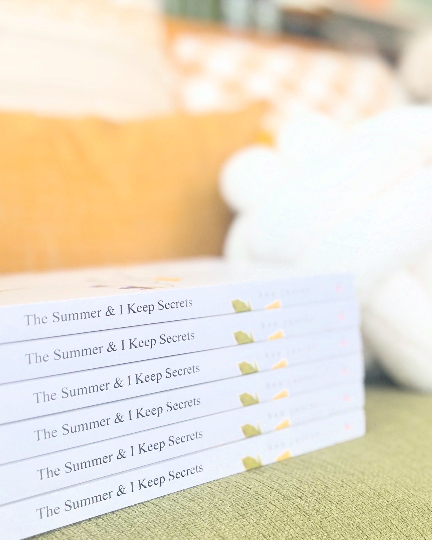 the summer & i keep secrets by bee jasper