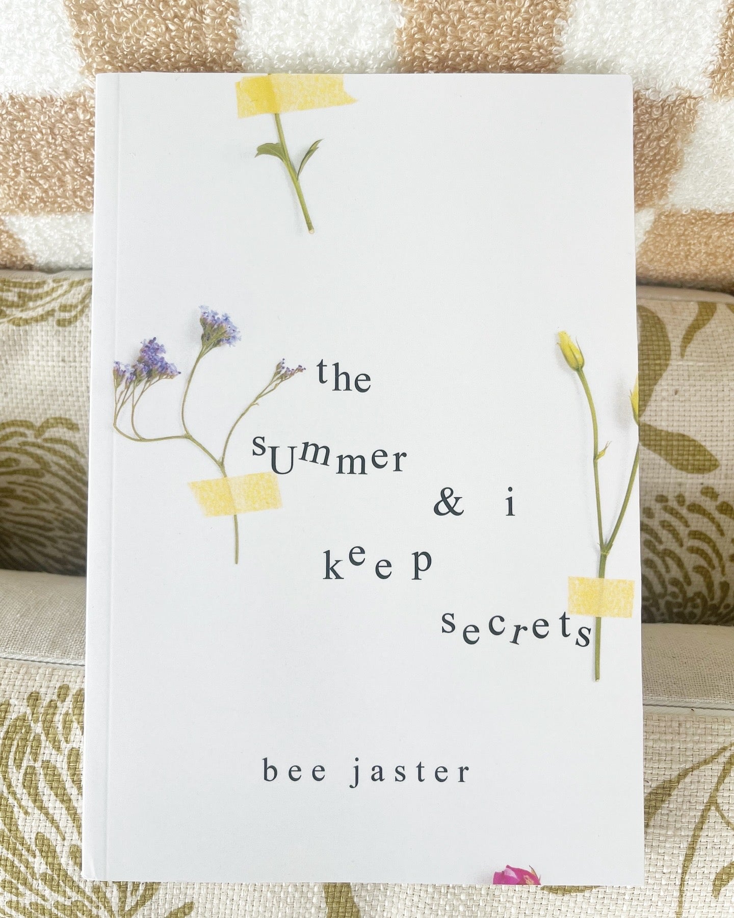 the summer & i keep secrets by bee jasper