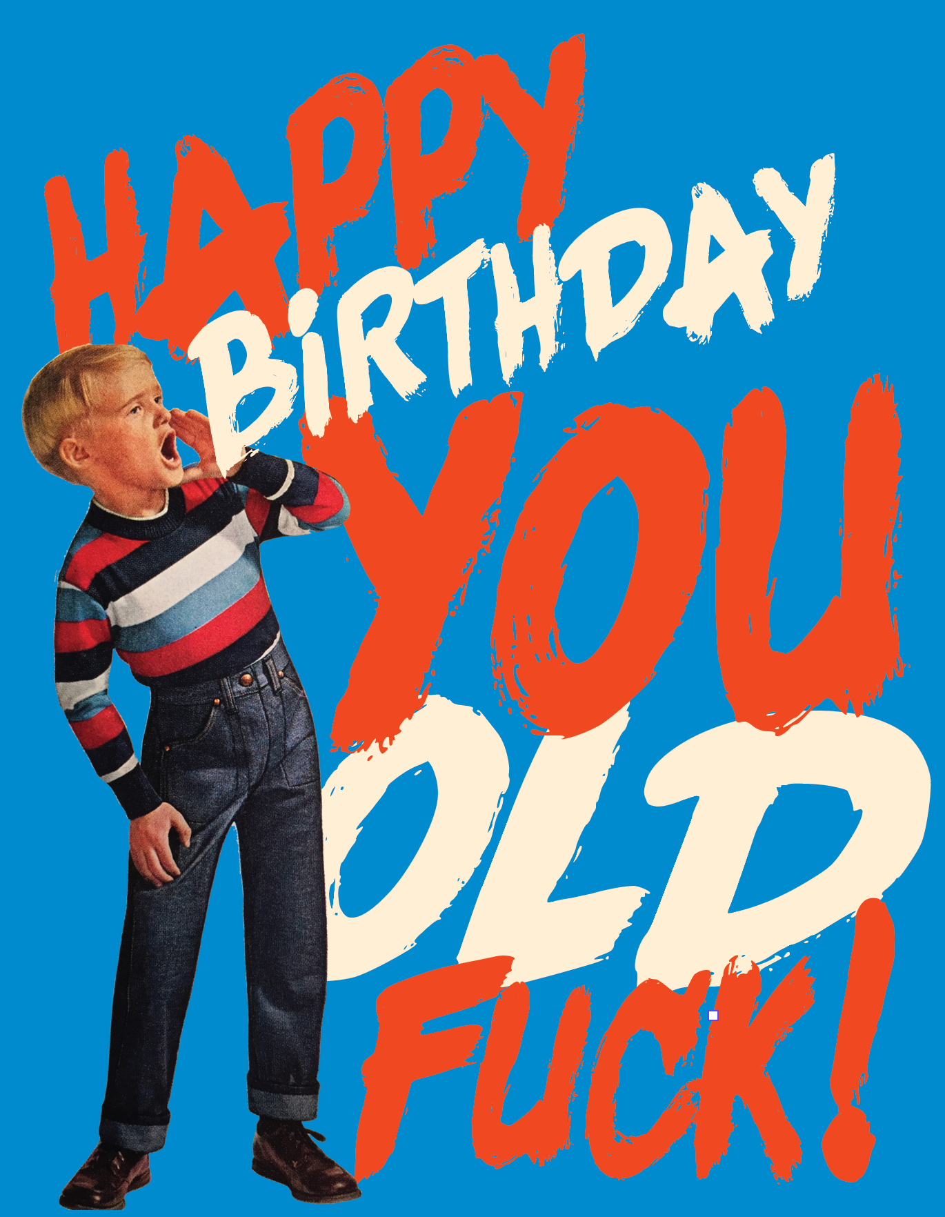 HAPPY BDAY YOU OLD F*CK! birthday card