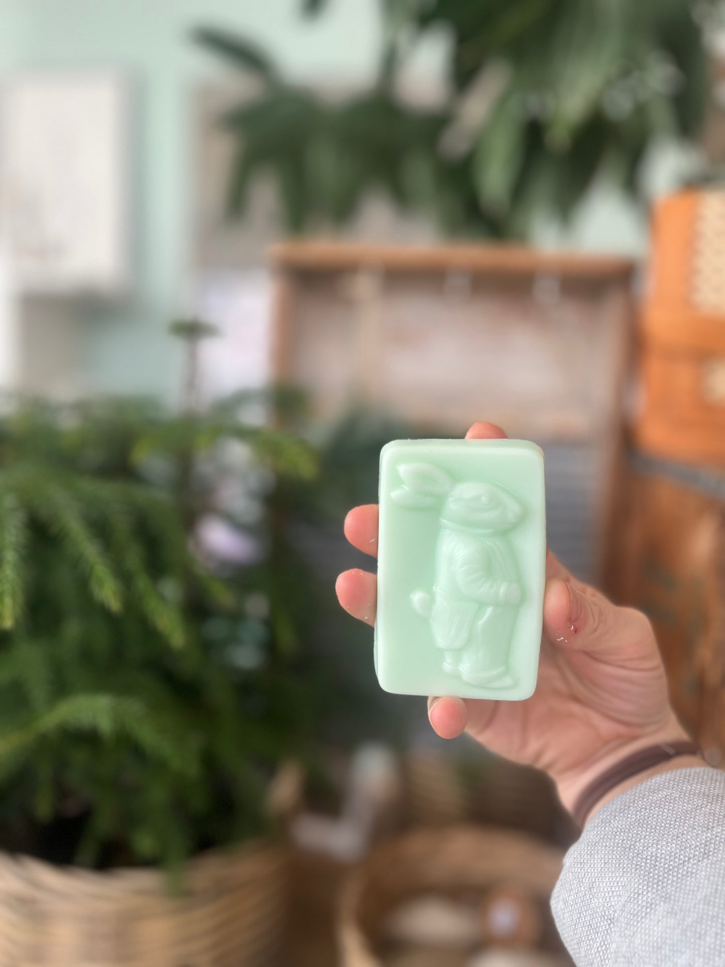 Bar Soap | Mr. Rabbit