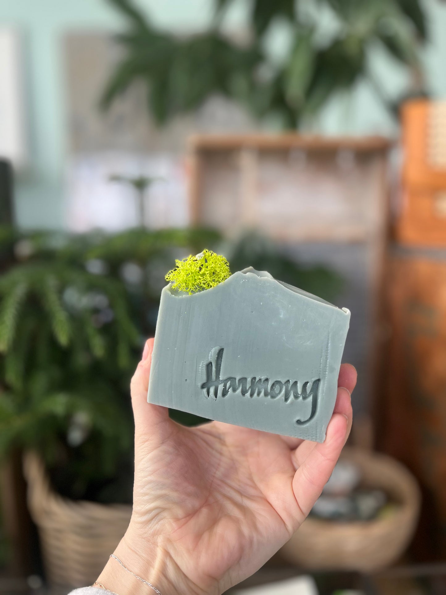 Bar Soap | Moss