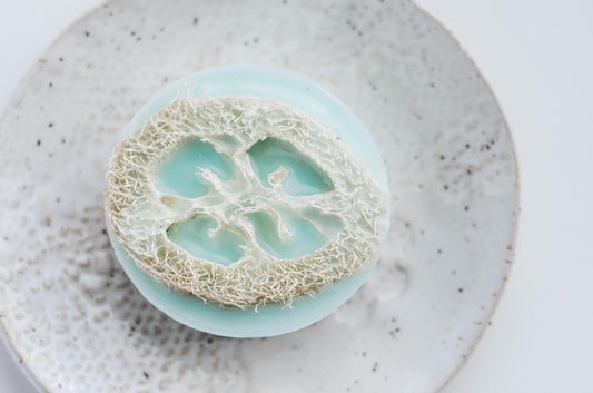 Bar Soap | Fresh Loofah - Harmony On West