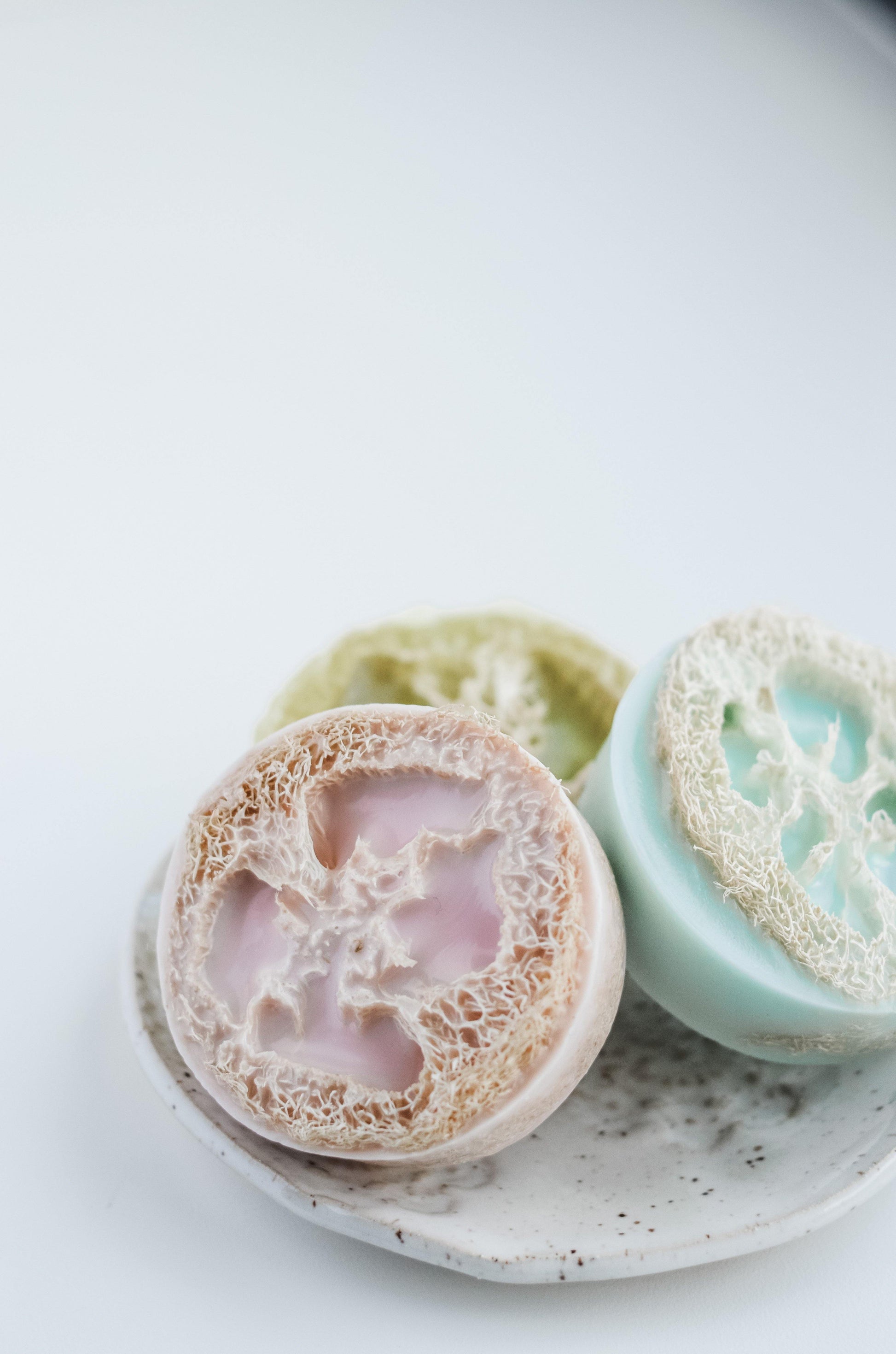 Bar Soap | Fresh Loofah - Harmony On West