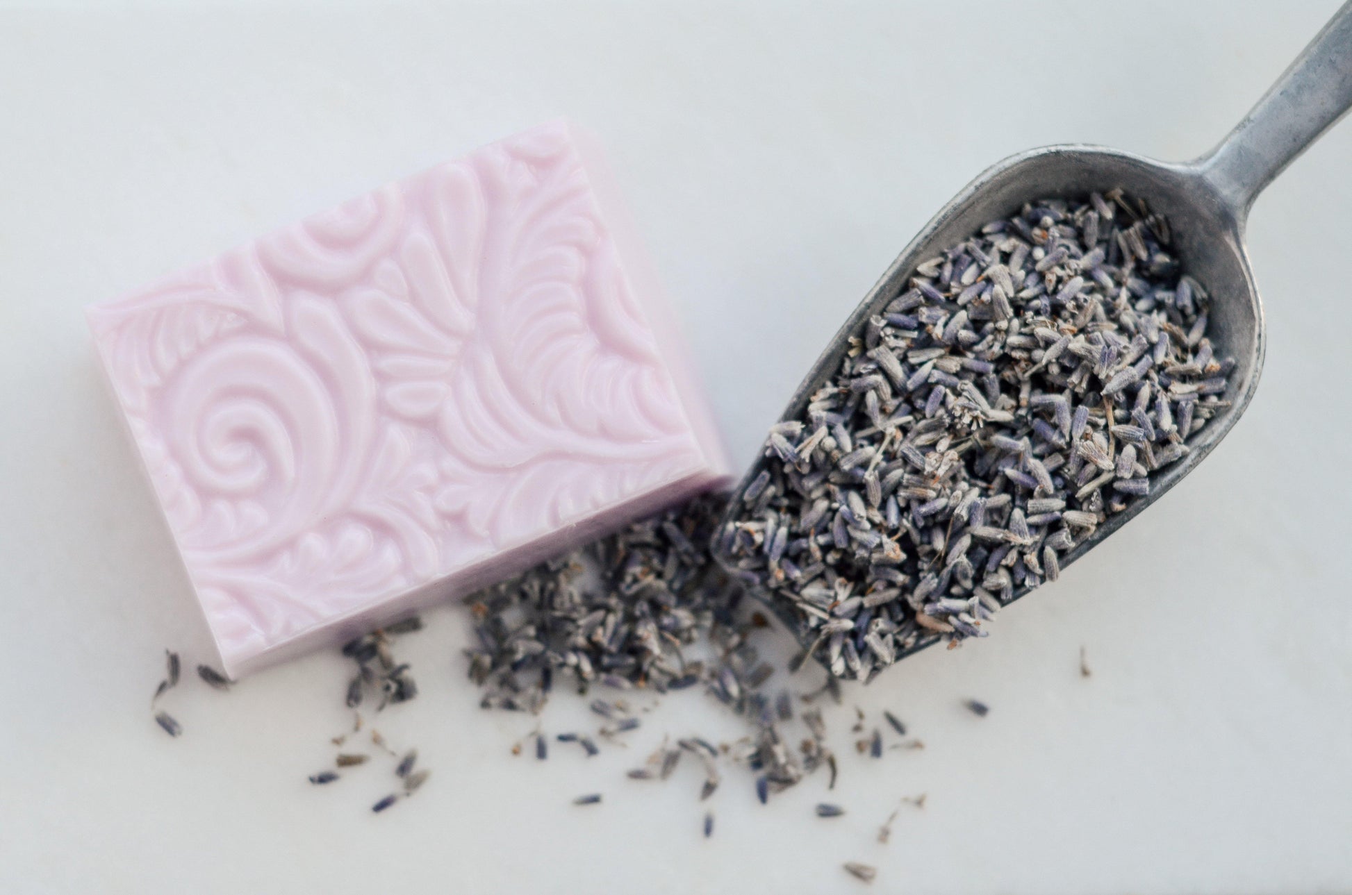 Bar Soap | French Lavender - Harmony On West
